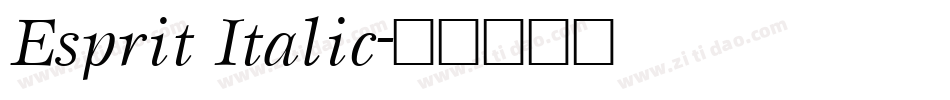 Esprit Italic字体转换
